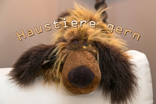 Residenz Margarete Appartement 1.15 Haustiere gern gesehen
